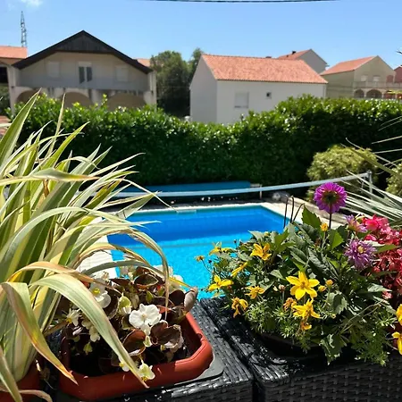 Dubrovnik - Ivanica: “sunnyhills Apartments” With Pool